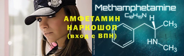 молекула духа Каменка