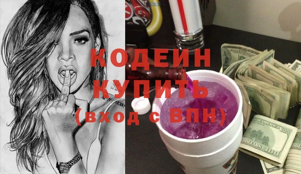 молекула духа Каменка