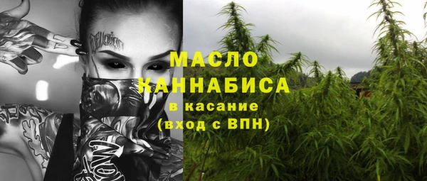 молекула духа Каменка