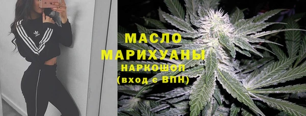 молекула духа Каменка
