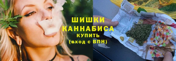 молекула духа Каменка