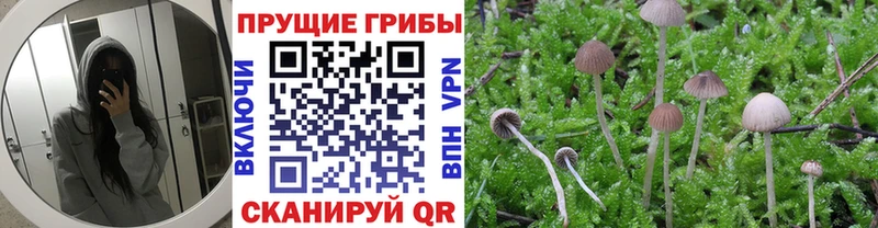 Псилоцибиновые грибы GOLDEN TEACHER  Купить закладки  Ивдель 